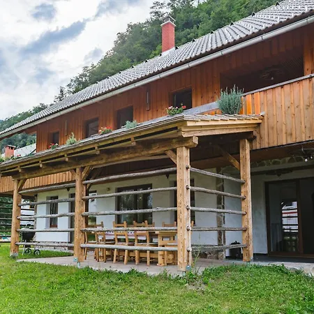 Pogacar Apartamento