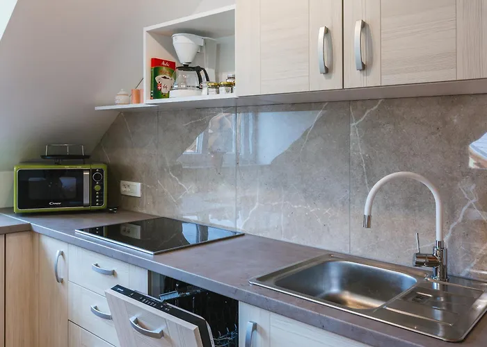 Pogacar * ブレッド